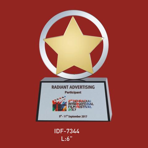 Participant Award In Steel